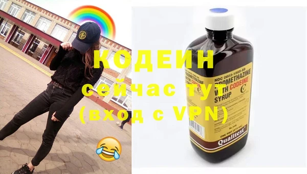 хмурый Дмитровск